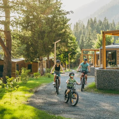 EuroParcs Pressegger See - Camping Carinthie - Image N°2