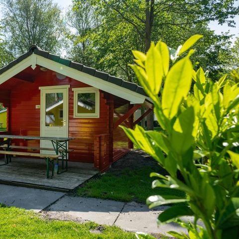 Hébergement 5 personnes - Cabine 5