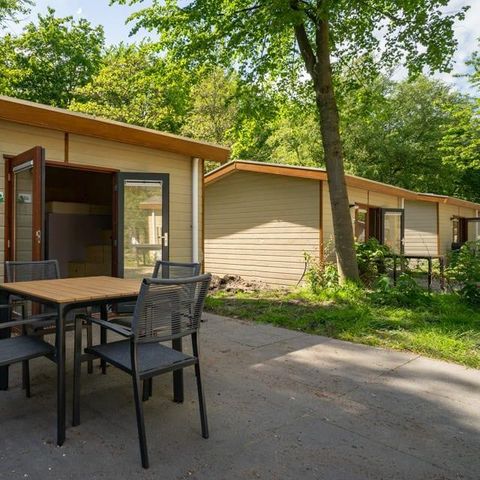 CHALET 4 personnes - Forest Lodge 4