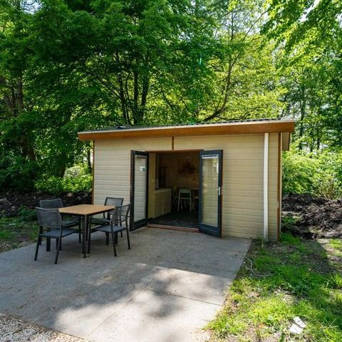 CHALET 4 personnes - Forest Lodge 4