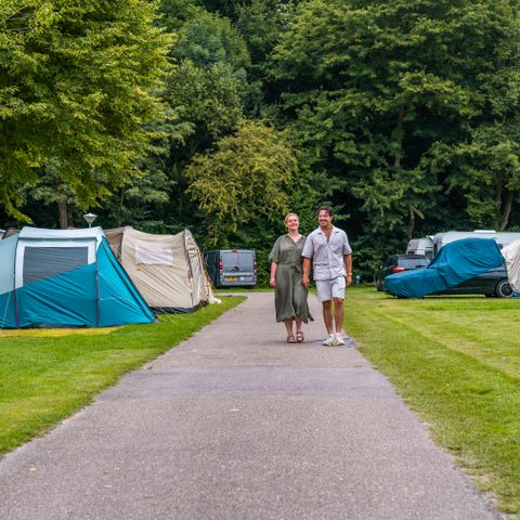 Emplacement - Tente standard