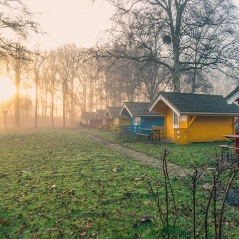 EuroParcs Het Amsterdamse Bos - Camping Amsterdam - Image N°4