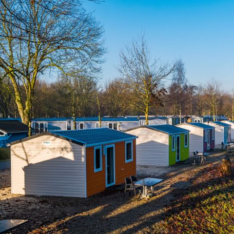 EuroParcs Het Amsterdamse Bos - Camping Amsterdam - Image N°3