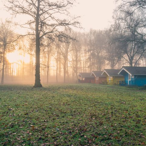 EuroParcs Het Amsterdamse Bos - Camping Amsterdam - Image N°6