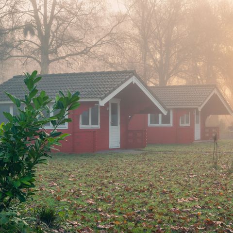 EuroParcs Het Amsterdamse Bos - Camping Amsterdam - Image N°5