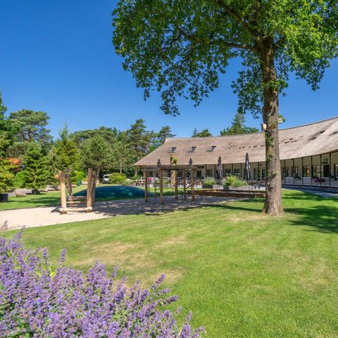 Landgoed 't Wildryck - Camping Westerveld - Image N°3