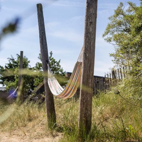 Landal Bloemendaal aan Zee - Camping Bloemendaal - Image N°5