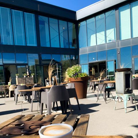 Landal Bloemendaal aan Zee - Camping Bloemendaal - Image N°5