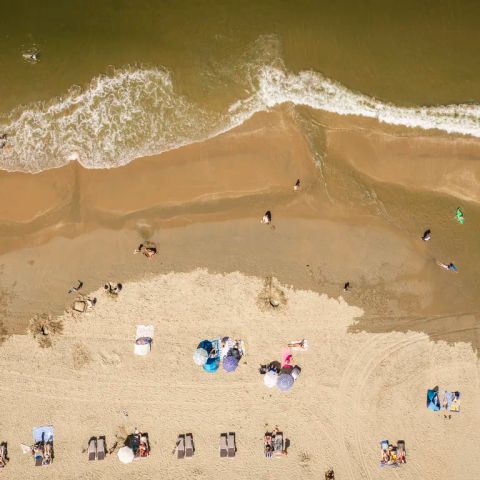 Landal Bloemendaal aan Zee - Camping Bloemendaal - Image N°3