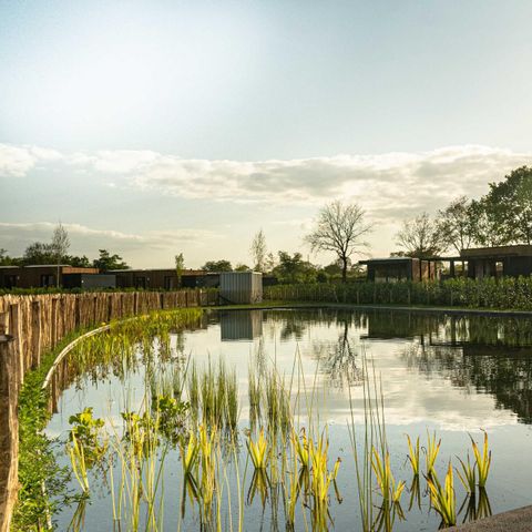 MAISON 4 personnes - Amalia 4 avec sauna