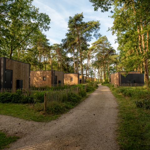 LODGE 2 personnes - Forest Lodge Royal avec sauna et clôture pour chiens