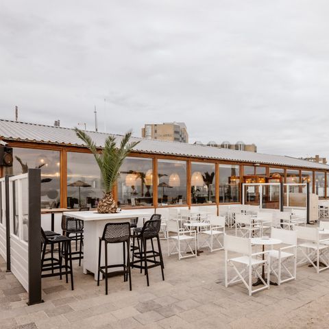 Landal Zandvoort - Camping Zandvoort - Image N°6