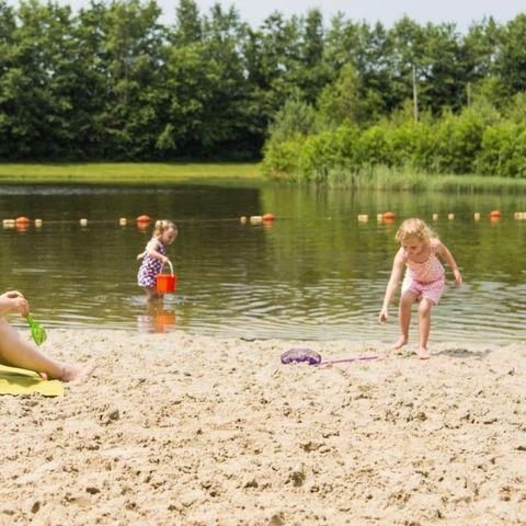 Landal Drentse Lagune - Camping Mitte-Drenthe - Image N°2
