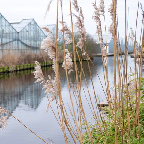 MAISON 8 personnes - Villa