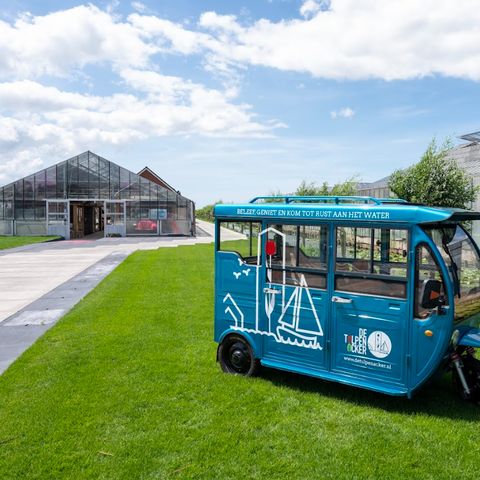 De Tulpenacker - Camping Kaag und Braassem - Image N°5