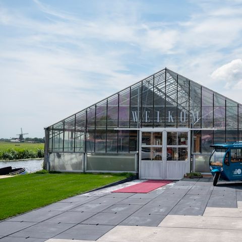 De Tulpenacker - Camping Kaag und Braassem - Image N°4