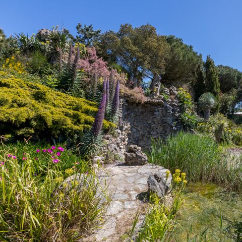 Fort den Haak - Camping Veere - Image N°5