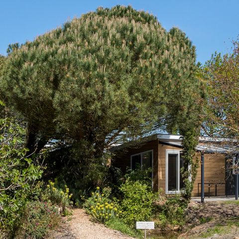 Fort den Haak - Camping Veere - Image N°4