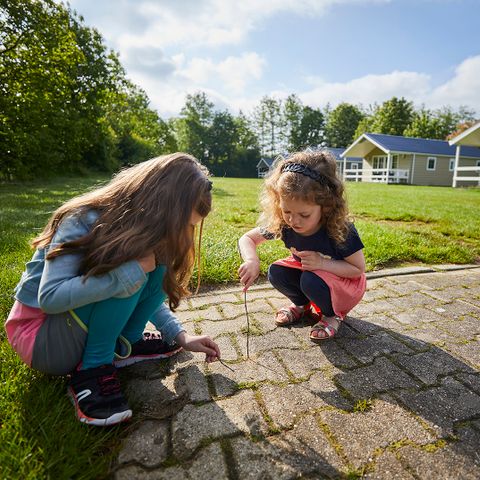 CHALET 4 personnes - plat