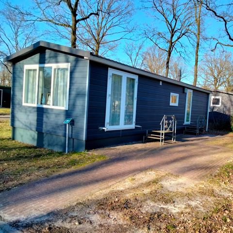 CHALET 4 personnes - Drenthe