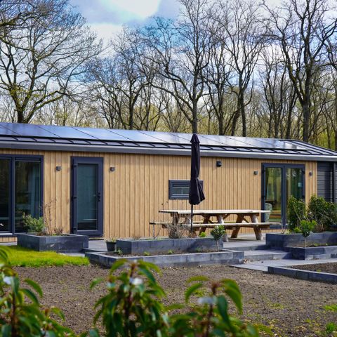 Park Drentheland - Camping Westerveld - Image N°4