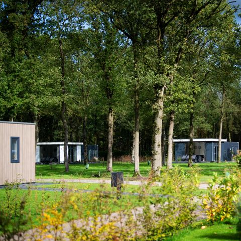 Park Drentheland - Camping Westerveld - Image N°3