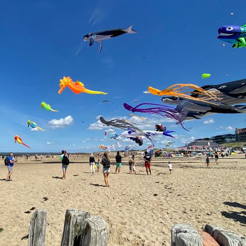 LODGE 6 personnes - Loft de plage