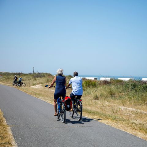 Camping Zonneweelde - Camping Sluis - Image N°3