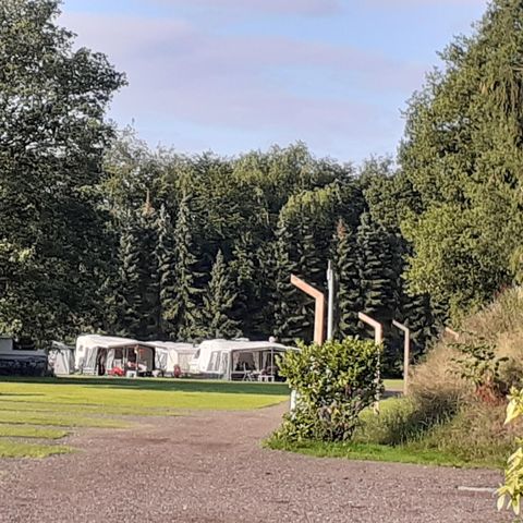 Heidepark Veluwschkarakter - Camping Nunspeet - Image N°6