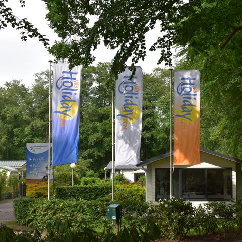 Heidepark Veluwschkarakter - Camping Nunspeet - Image N°3