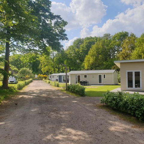 Heidepark Veluwschkarakter - Camping Nunspeet - Image N°4