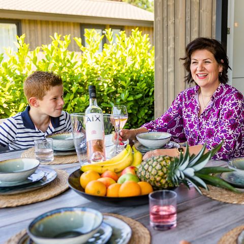 Vakantiepark Latour - Camping Oirschot - Image N°6