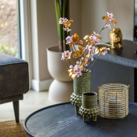 MAISON 6 personnes - Ecovilla Waterzicht