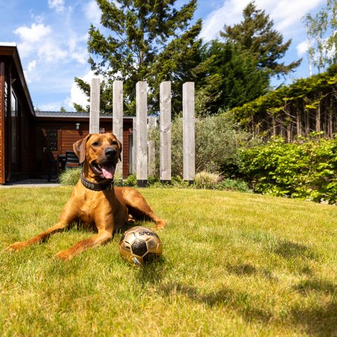 LODGE 4 personnes - Douillet