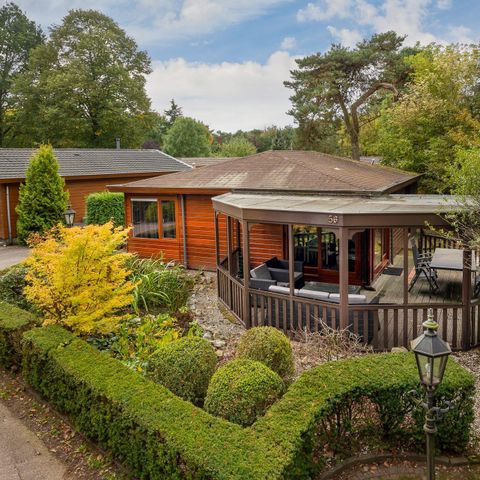 LODGE 4 personnes - Forest Lodge