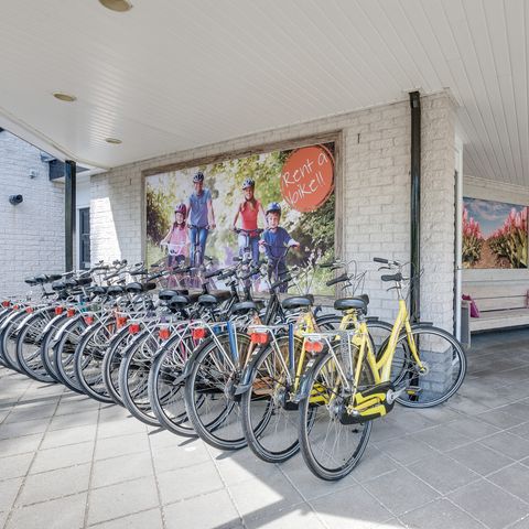 Bungalowpark Het Verscholen Dorp - Camping Harderwijk - Image N°6