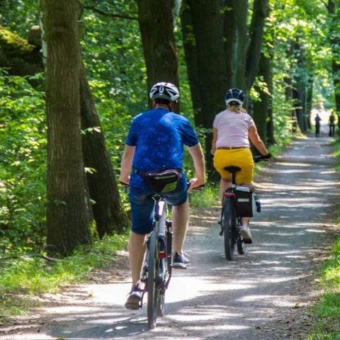 Urban Gardens Gent - Camping Flandre orientale - Image N°3