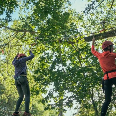 Urban Gardens Gent - Camping Flandre orientale - Image N°4