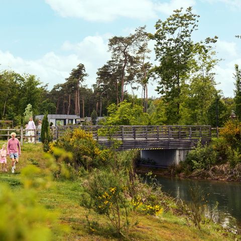 Terhills Resort by Center Parcs - Camping Limburg Belge - Image N°6