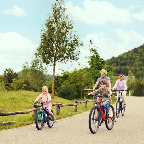 Terhills Resort by Center Parcs - Camping Limburg Belge - Image N°5