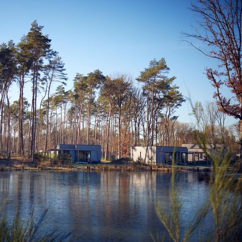 Terhills Resort by Center Parcs - Camping Limburg Belge - Image N°3