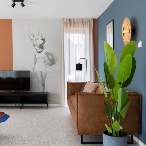 MAISON 10 personnes - Duinzicht Accueil des animaux domestiques