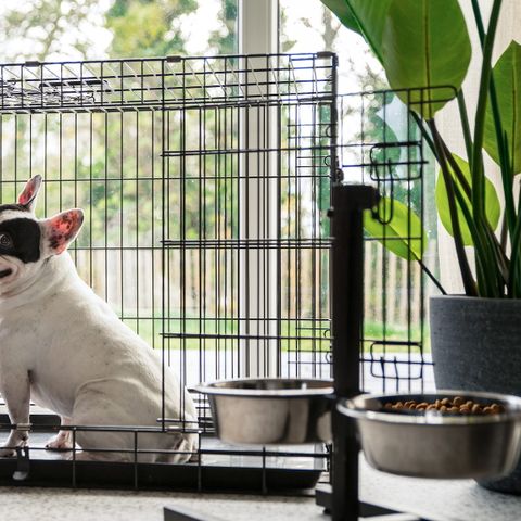 MAISON 6 personnes - Dune Grass Pet-friendly