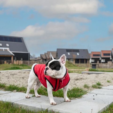 Dormio Nieuwvliet-Bad - Camping Sluis - Image N°3