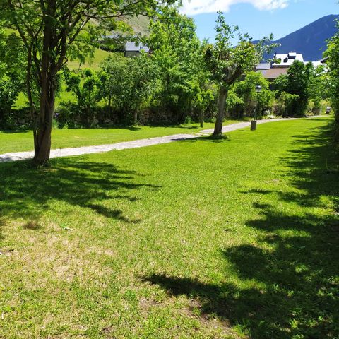 Camping Solau - Camping Lleida - Image N°6