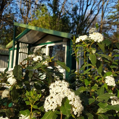 CHALET 5 personnes - Eco 2 chambres