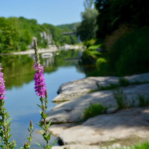 Camping Les Peupliers - Camping Ardèche - Image N°2