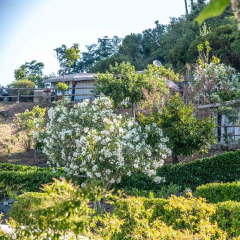 Camping Costabella - Camping La Spezia - Image N°6