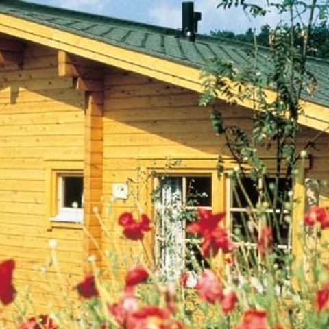 Werrapark Resort Ferienhausanlage am Sommerberg - Camping Thuringe - Image N°4