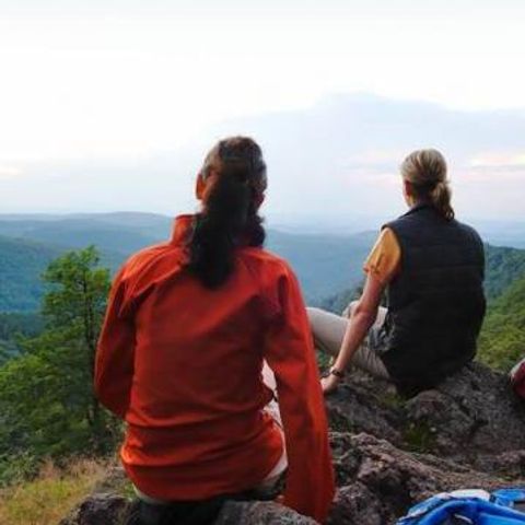 Werrapark Resort Ferienhausanlage am Sommerberg - Camping Thuringe - Image N°5